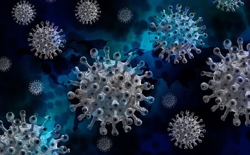 ВОЗ подтвердила смерть 1 млн людей от коронавируса