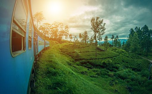 Шри-Ланка предоставит бесплатную визу для туристов