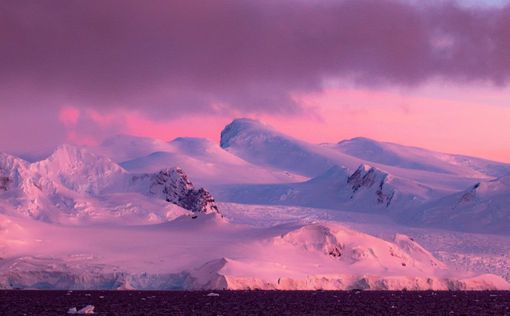 Барбимания добралась до края света - уже и Антарктида в цветах "Барби". Фото