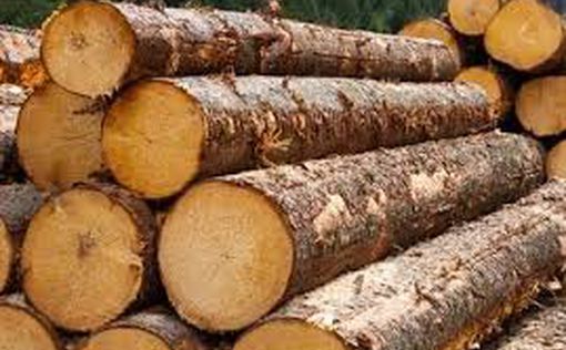 Ветирован закон об ограничении годовой заготовки древесины