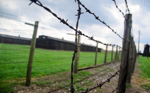 Германия увеличит размер компенсации выжившим в Холокосте