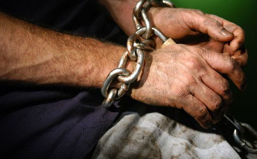 В Украине выявили более 260 случаев торговли людьми