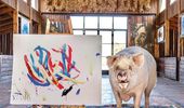 Картины свиньи-художницы Пигкассо продали за $1 млн. Фото, видео | Фото 16