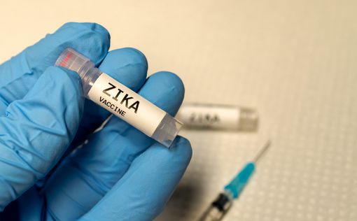 Создана вакцина от вируса Зика