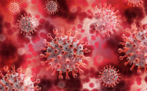 Маски и вакцина не помогут: коронавирус уже мутирует