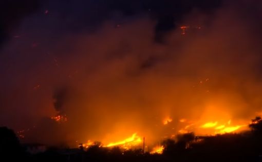 Огненная стихия в Греции унесла жизни минимум 92 человек