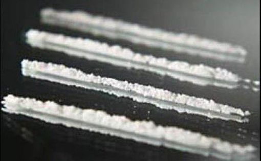 В магазинах Берлина и Бранденбурга нашли килограммы кокаина