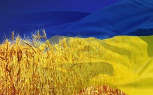 В Украине хотят запустить рынок "зеленых" облигаций