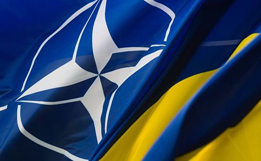 Украина хочет соответствовать стандартам НАТО