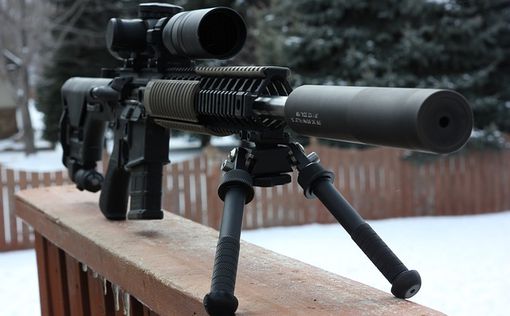 В Украину скоро доставят первую партию канадских винтовок
