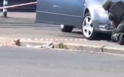 Очередной теракт в Киеве: заминирован автомобиль возле ТРЦ