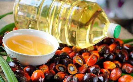 В Украине запретили использовать пальмовое масло