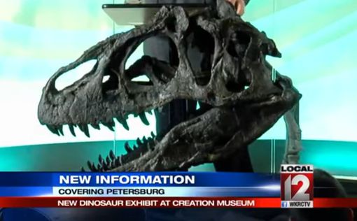 Во Франции продан скелет динозавра возрастом 150 млн. лет