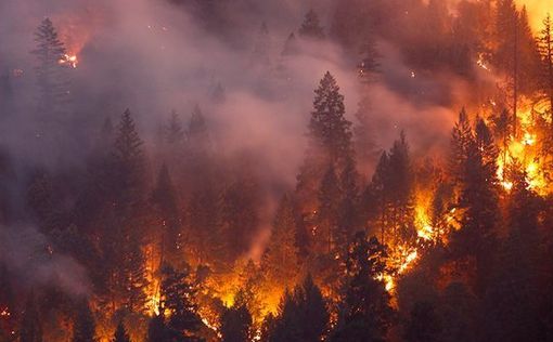 Лесные пожары в Калифорнии почти потушены благодаря дождям