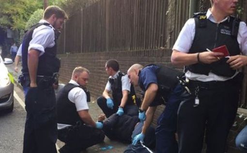В Лондоне неизвестный атаковал с отверткой полицейских