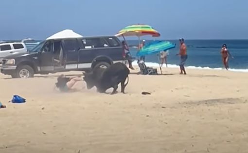 Жах на пляжі: бик напав на туристку, яка відпочивала