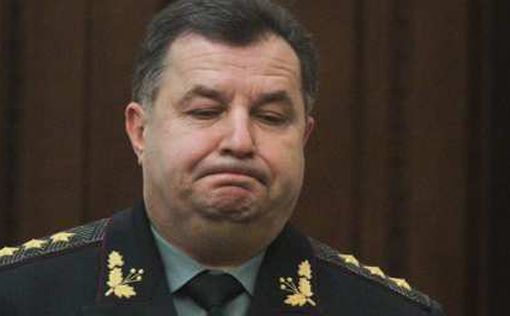 Министр обороны Полторак показал свои доходы