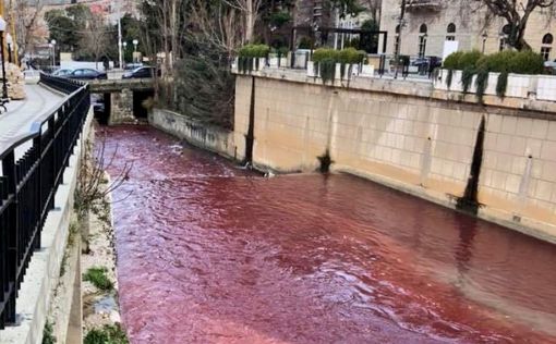 Первая казнь: В Ливане река стала "кровавой" (видео)