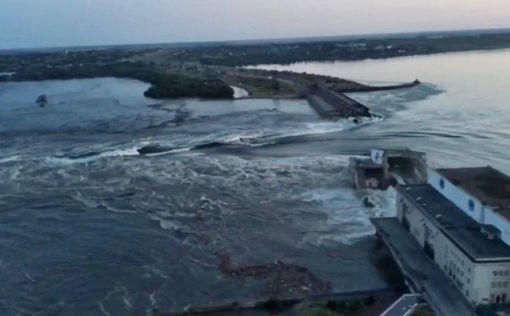 Из-за подрыва дамбы Каховской ГЭС погибло более 11 тысяч тонн рыбы