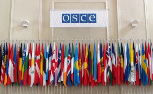 ОБСЕ создает миссию по наблюдению за выборами в Украине