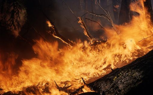 Пожар в Луганской области усилился: растет число жертв