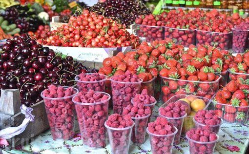 Украина стала меньше продавать овощей и фруктов в ЕС