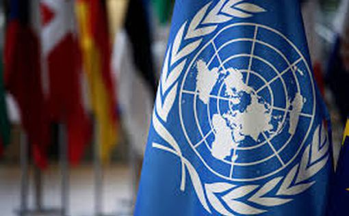 Глава ВОЗ поставил под вопрос полезность ООН