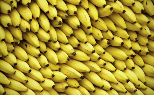 Украина побила рекорд по импорту бананов