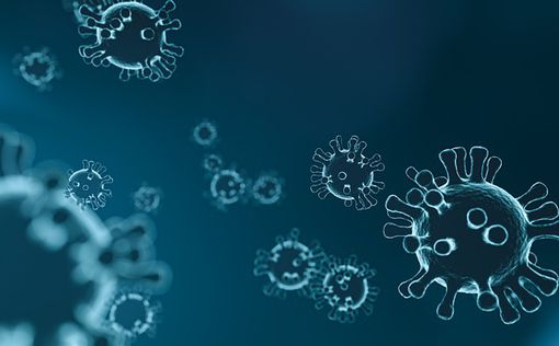 Ученым удалось сделать первое 3D-фото коронавируса