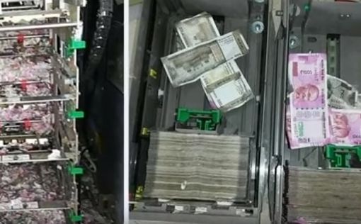 Грызуна обвинили в порче денег в банкомате