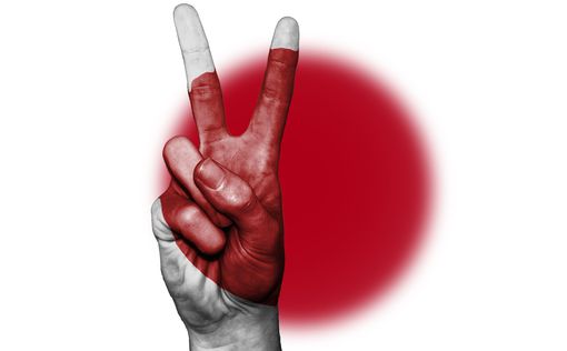 Япония будет стоять вместе с Украиной "до последней мины" | Фото: pixabay.com