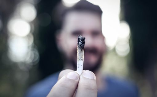 В Калифорнии легализировали марихуану