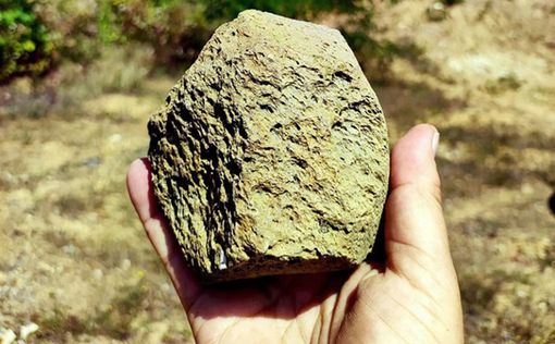 В Украине найдены каменные орудия возрастом около 1,4 млн лет