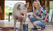 Картины свиньи-художницы Пигкассо продали за $1 млн. Фото, видео | Фото 25