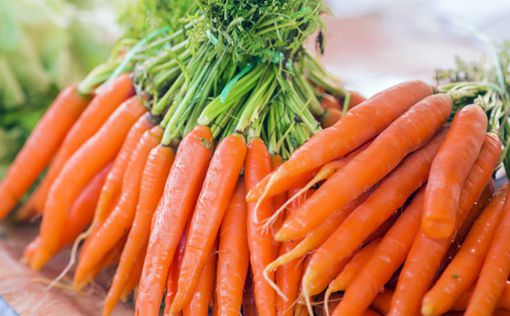 В Украине продолжает дешеветь морковь