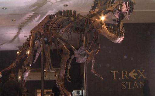 В Нью-Йорке продали останки самого дорогого тираннозавра