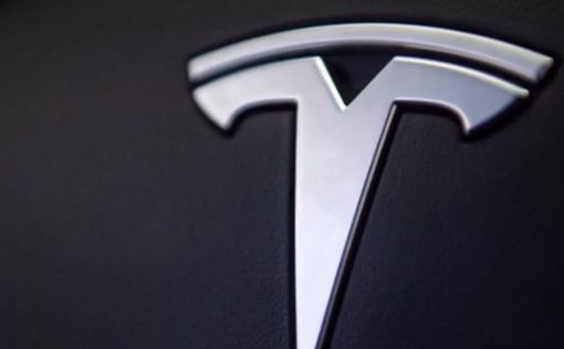 Автомобили Tesla будут как «домашние животные»