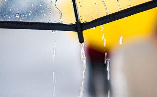 Погода на 20 марта: выходя из дома, прихватите зонт | Фото: pixabay.com