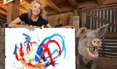 Картины свиньи-художницы Пигкассо продали за $1 млн. Фото, видео | Фото 12