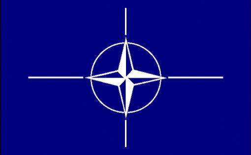 Украина требует от НАТО консультации о ПДЧ