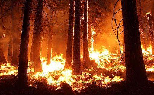 Луганская область в огне: пожары добрались до химзавода