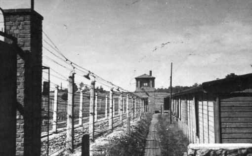 Двое белорусов осуждены за убийство овцы в Освенциме