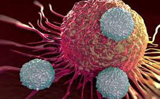 Найдена универсальная клетка, способная побороть рак