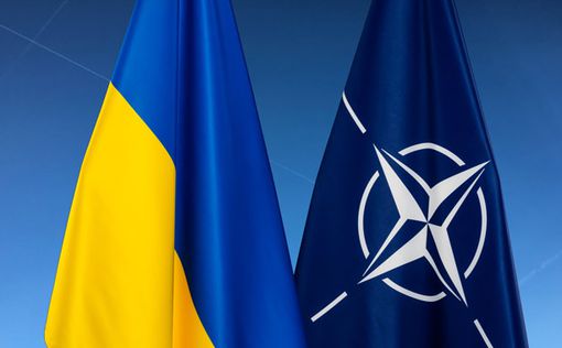 Минобороны: Украина надеется получить ПДЧ на саммите НАТО