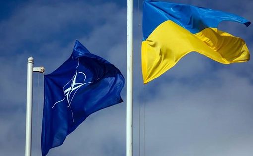 ПА НАТО призывает помочь Украине