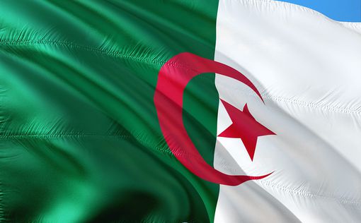 Алжирский совет отменяет президентские выборы