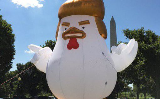 У Белого дома надули фигуру Трампа-цыпленка
