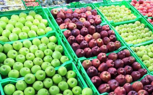 Украинский рынок яблок за 5 лет сократился на 27%