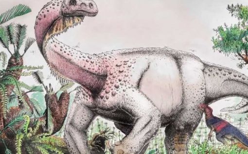 Ученые нашли предка самого крупного динозавра