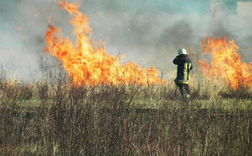ГСЧС фиксирует самый высокий уровень пожарной опасности